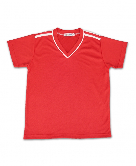 吸濕排汗短袖V領T-Shirt(共6色)